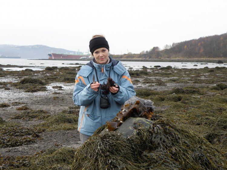 2fim-large.jpg 2fim-large.jpg